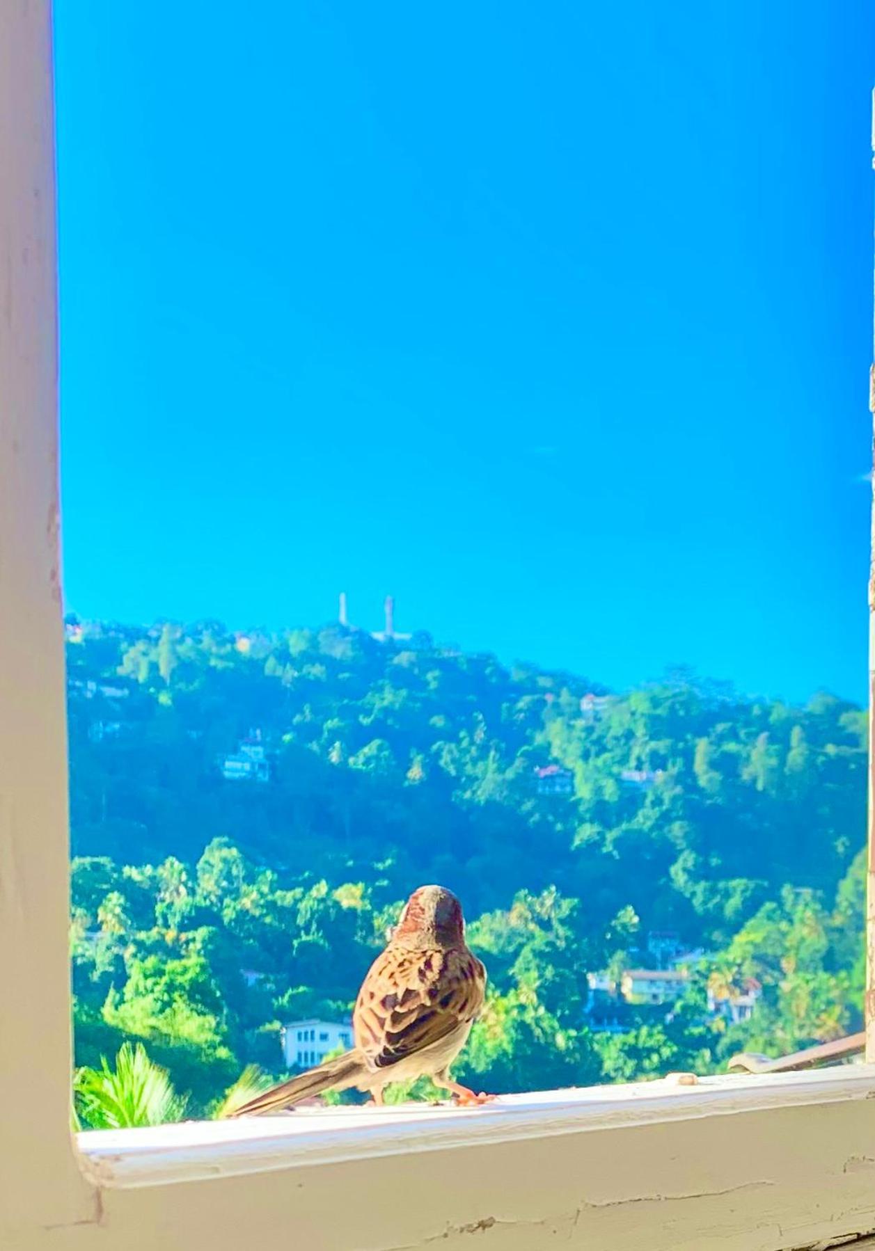 Gangula Villa Kandy Ngoại thất bức ảnh